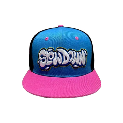 Wat zijn enkele populaire merken of ontwerpers die snapback-hoeden met 6 panelen maken?